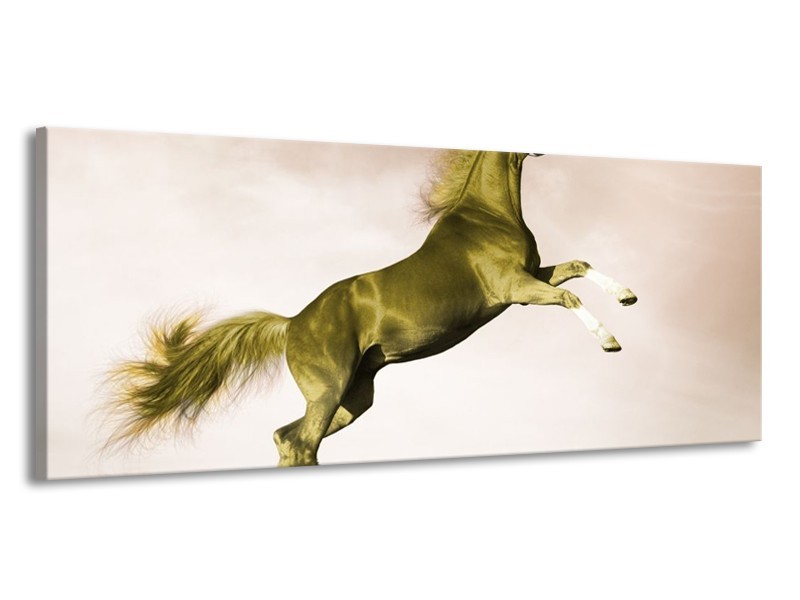 Canvas schilderij Paard | Groen, Goud, Sepia | 145x58cm 1Luik
