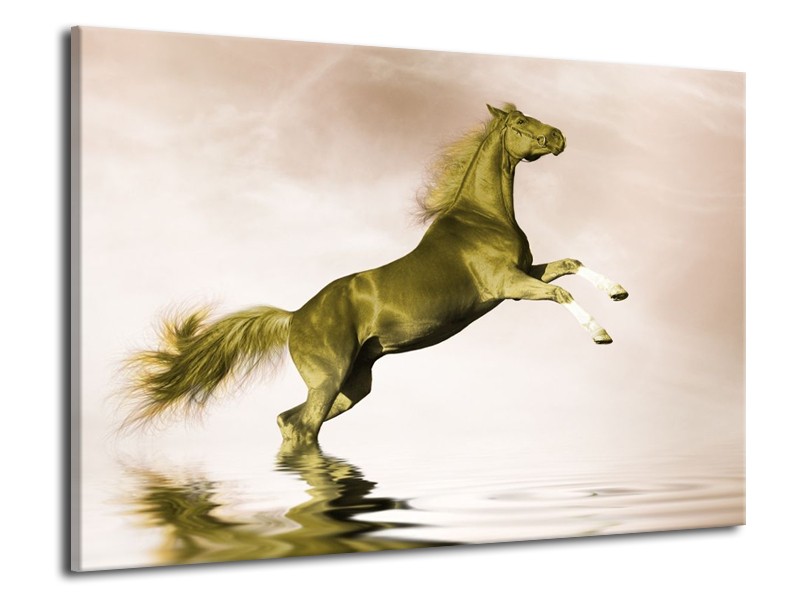 Canvas schilderij Paard | Groen, Goud, Sepia | 70x50cm 1Luik