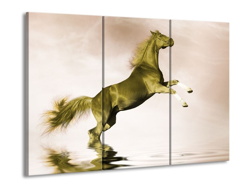 Canvas schilderij Paard | Groen, Goud, Sepia | 90x60cm 3Luik