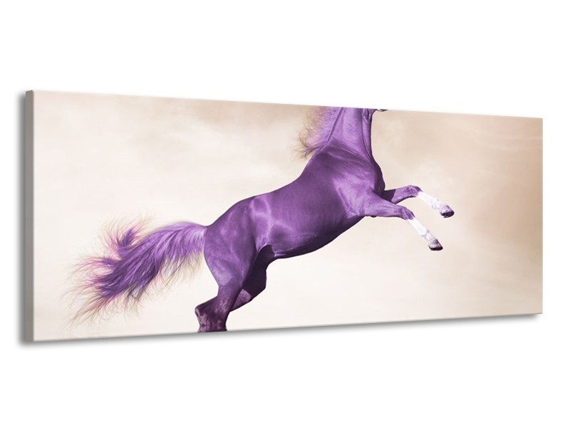 Canvas schilderij Paard | Paars, Sepia | 145x58cm 1Luik
