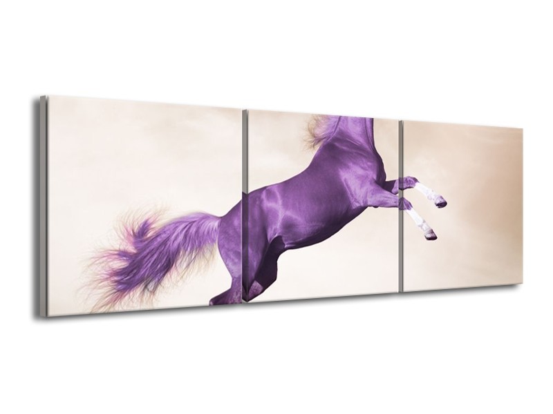 Canvas schilderij Paard | Paars, Sepia | 150x50cm 3Luik