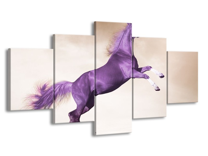 Canvas schilderij Paard | Paars, Sepia | 150x80cm 5Luik
