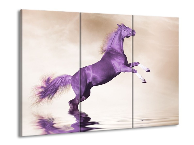 Glas schilderij Paard | Paars, Sepia | 90x60cm 3Luik