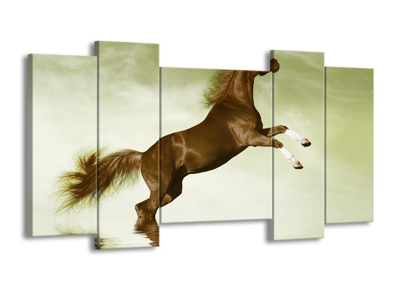 Glas schilderij Paard | Groen, Bruin | 120x65cm 5Luik