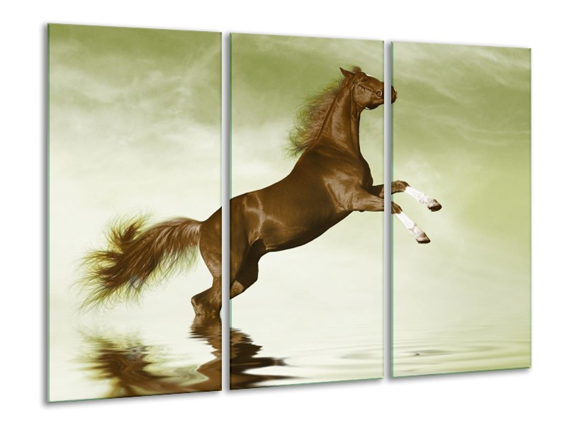 Canvas schilderij Paard | Groen, Bruin | 120x80cm 3Luik