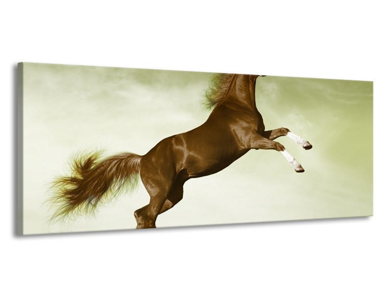 Canvas schilderij Paard | Groen, Bruin | 145x58cm 1Luik