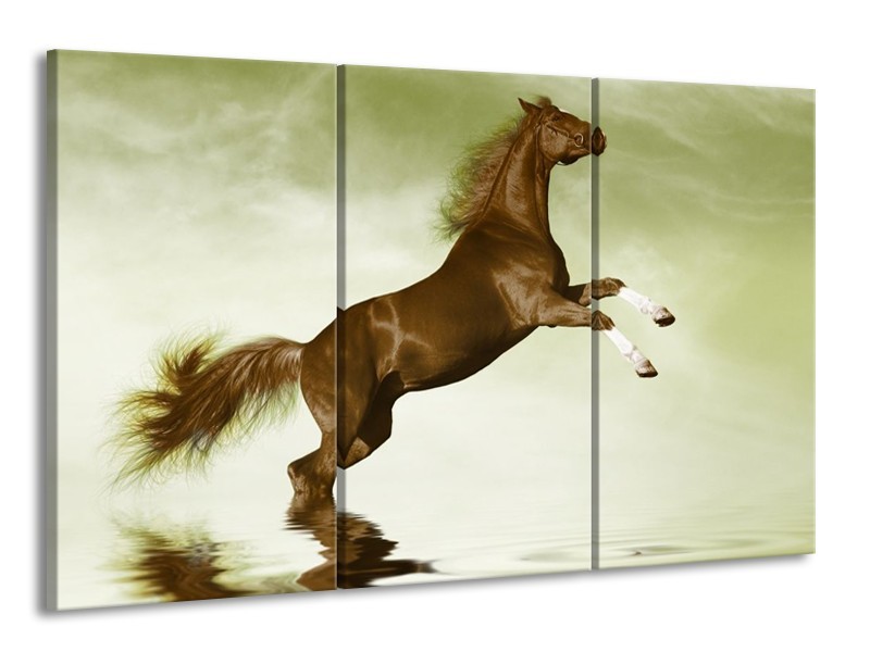 Canvas schilderij Paard | Groen, Bruin | 165x100cm 3Luik