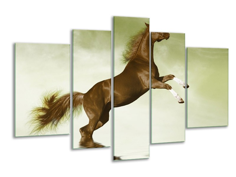 Canvas schilderij Paard | Groen, Bruin | 170x100cm 5Luik