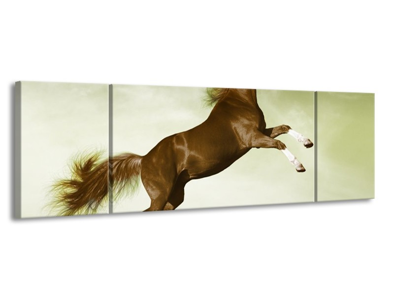Canvas schilderij Paard | Groen, Bruin | 170x50cm 3Luik