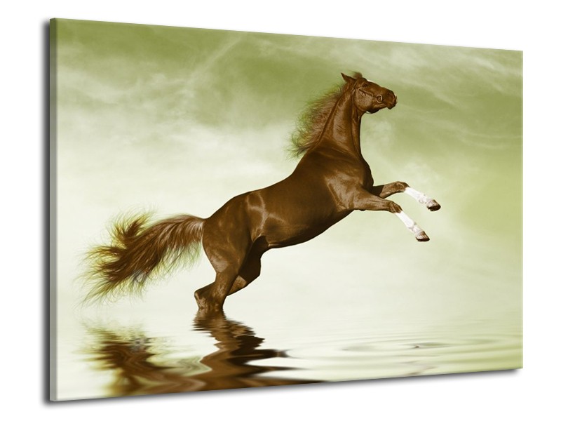 Canvas schilderij Paard | Groen, Bruin | 70x50cm 1Luik