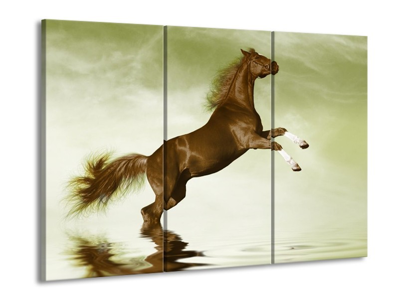 Canvas schilderij Paard | Groen, Bruin | 90x60cm 3Luik
