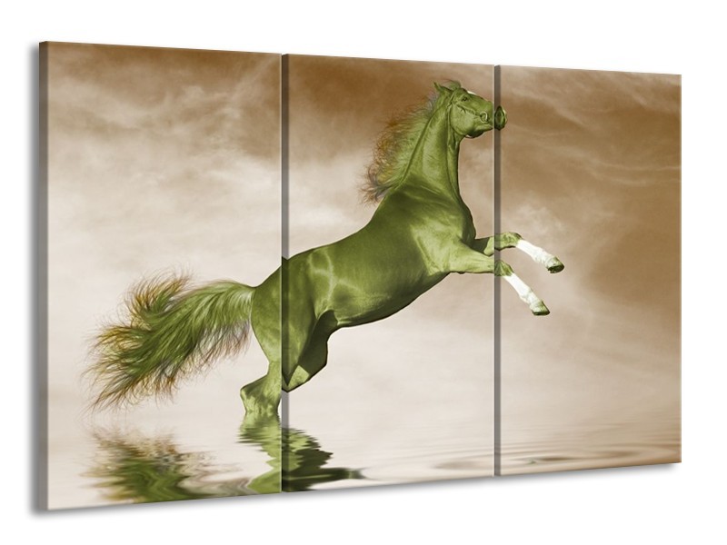 Canvas schilderij Paard | Groen, Sepia, Bruin | 165x100cm 3Luik