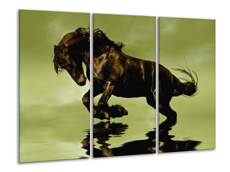 Canvas schilderij Paard | Groen, Bruin, Zwart | 120x80cm 3Luik