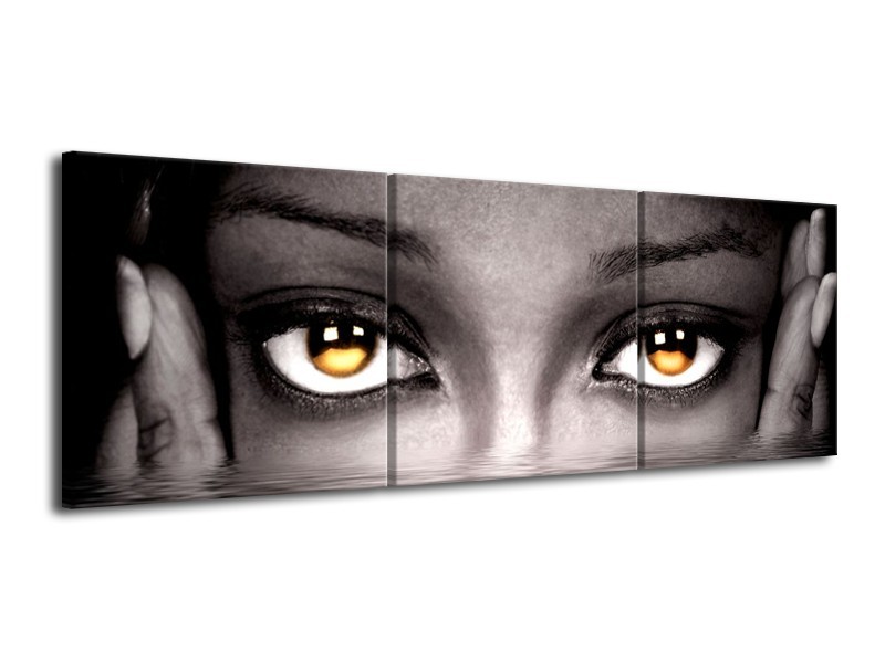 Canvas schilderij Ogen | Geel, Grijs, Zwart | 120x40cm 3Luik