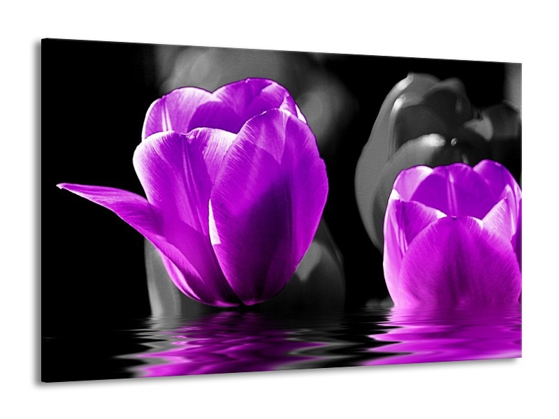 Canvas schilderij Tulpen | Paars, Zwart, Grijs | 140x90cm 1Luik