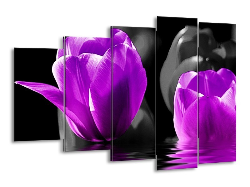 Canvas schilderij Tulpen | Paars, Zwart, Grijs | 150x100cm 5Luik