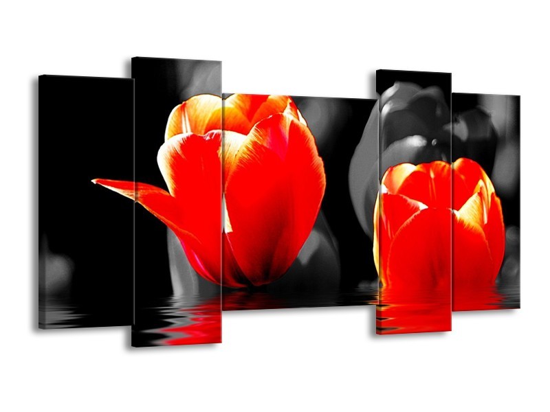 Canvas schilderij Tulpen | Rood, Zwart, Grijs | 120x65 5Luik