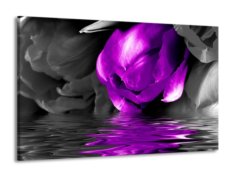 Canvas schilderij Tulpen | Paars, Grijs, Zwart | 140x90cm 1Luik