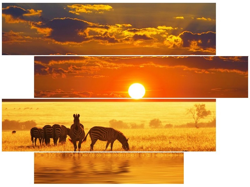 Canvas schilderij Zebra | Geel, Oranje, Bruin | 115x85cm 4Luik