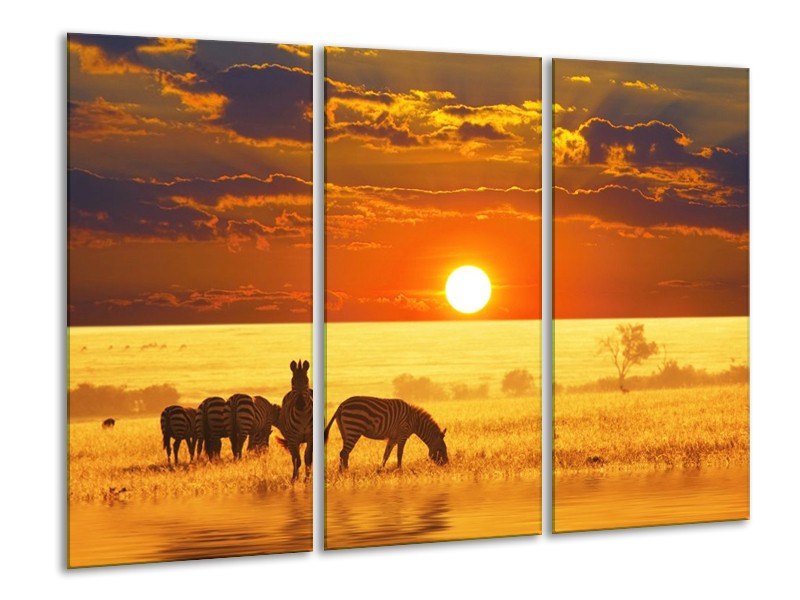 Canvas schilderij Zebra | Geel, Oranje, Bruin | 120x80cm 3Luik