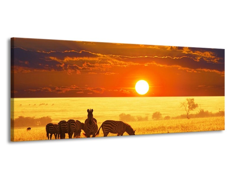 Canvas schilderij Zebra | Geel, Oranje, Bruin | 145x58cm 1Luik