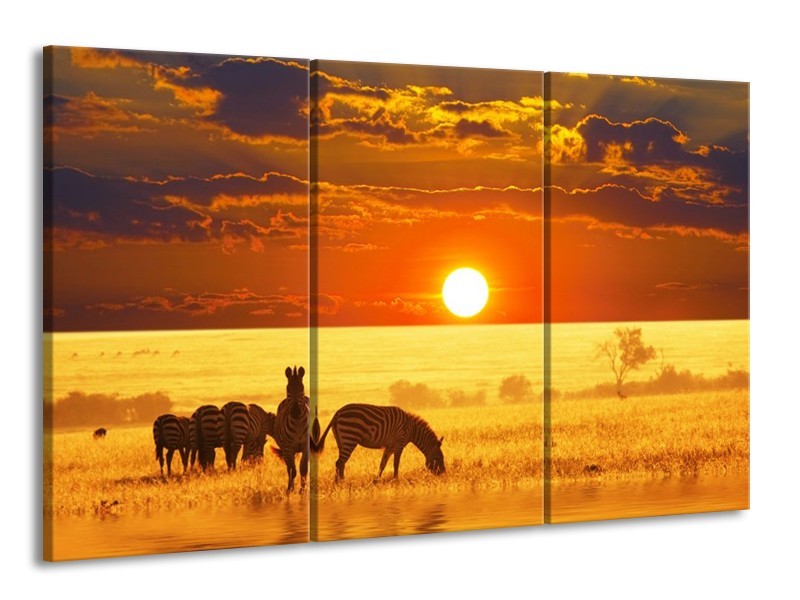 Glas schilderij Zebra | Geel, Oranje, Bruin | 165x100cm 3Luik