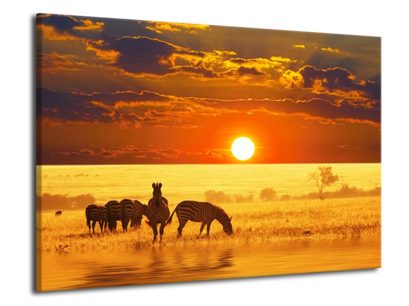 Canvas schilderij Zebra | Geel, Oranje, Bruin | 70x50cm 1Luik