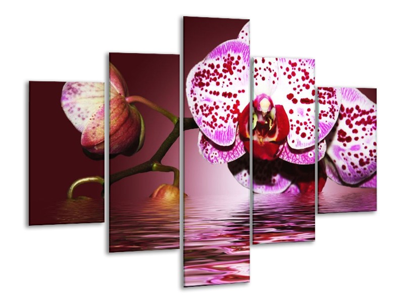 Canvas schilderij Orchidee | Paars, Roze, Rood | 100x70cm 5Luik