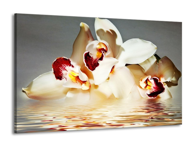 Canvas schilderij Orchidee | Wit, Grijs, Rood | 140x90cm 1Luik
