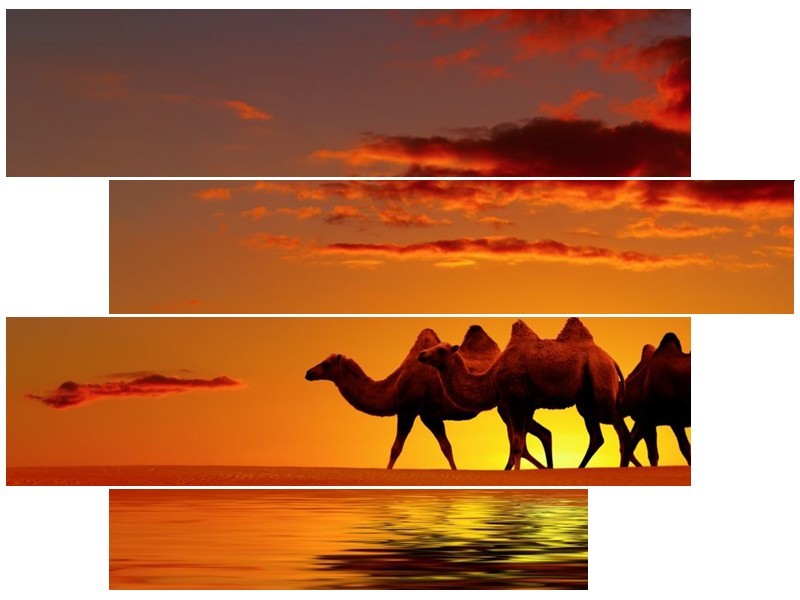 Glas schilderij Natuur | Oranje, Geel, Bruin | 115x85cm 4Luik