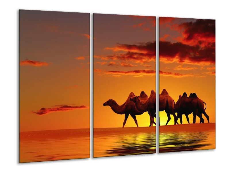 Canvas schilderij Natuur | Oranje, Geel, Bruin | 120x80cm 3Luik