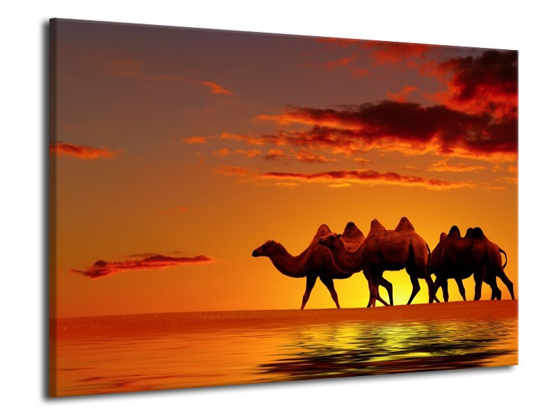 Canvas schilderij Natuur | Oranje, Geel, Bruin | 70x50cm 1Luik