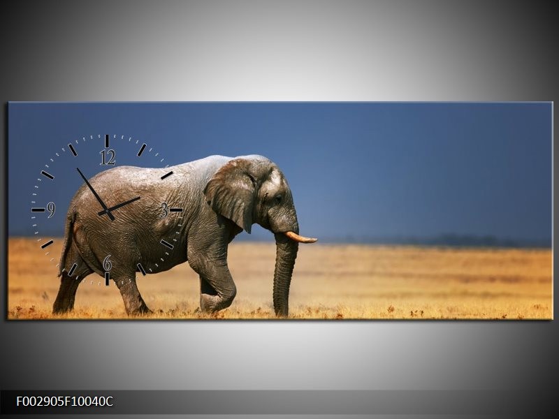 Klok schilderij Olifant | Blauw, Grijs, Geel | 100x40cm 1Luik