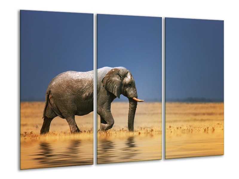 Canvas schilderij Olifant | Blauw, Grijs, Geel | 120x80cm 3Luik