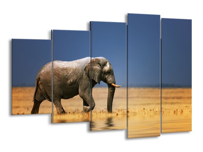 Canvas schilderij Olifant | Blauw, Grijs, Geel | 150x100cm 5Luik