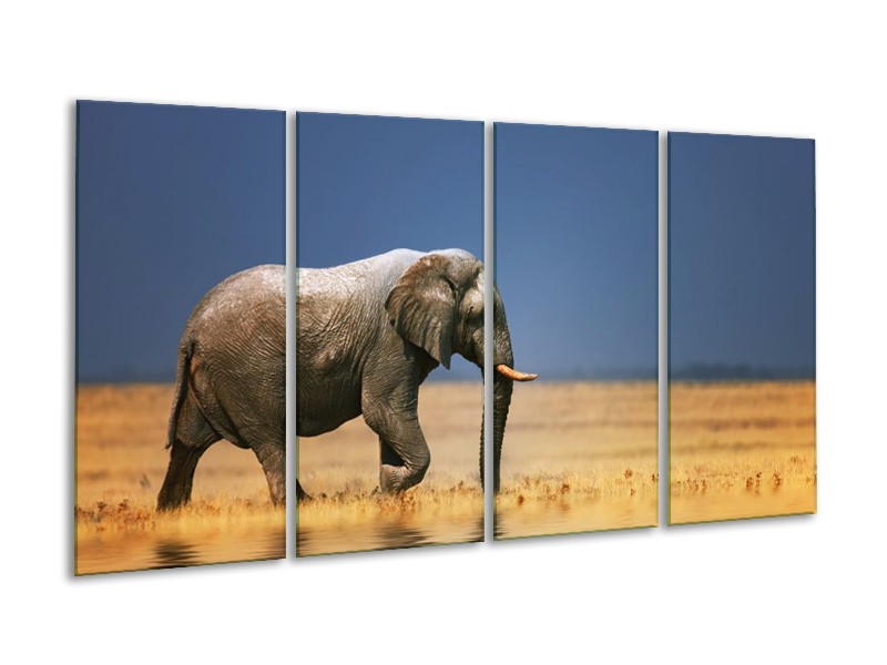 Glas schilderij Olifant | Blauw, Grijs, Geel | 160x80cm 4Luik