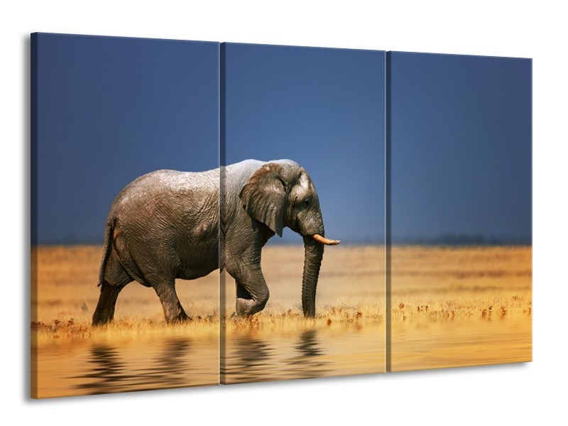 Canvas schilderij Olifant | Blauw, Grijs, Geel | 165x100cm 3Luik