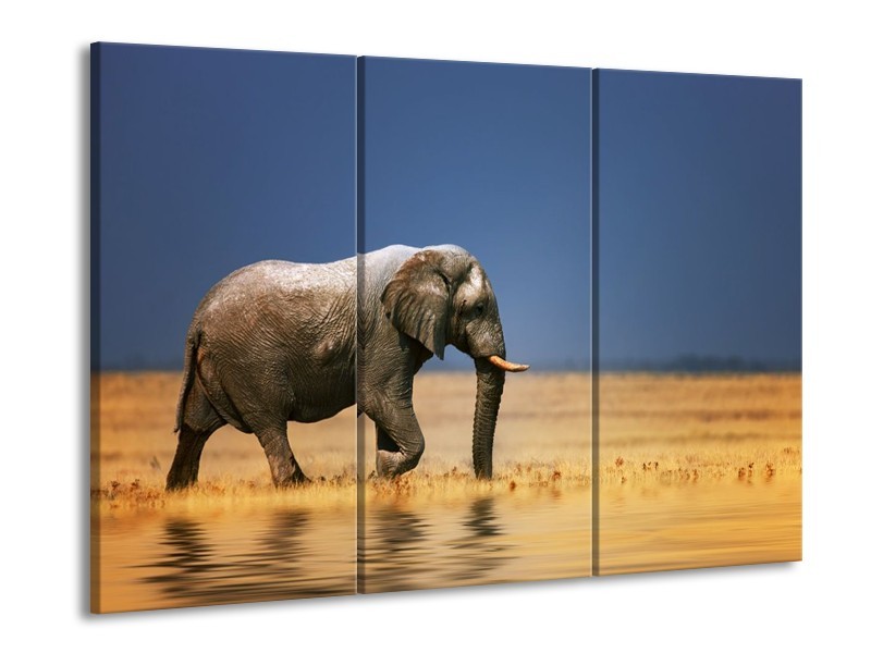 Canvas schilderij Olifant | Blauw, Grijs, Geel | 90x60cm 3Luik