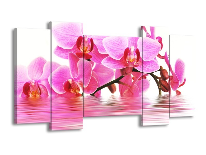 Canvas schilderij Orchidee | Roze, Wit | 120x65 5Luik