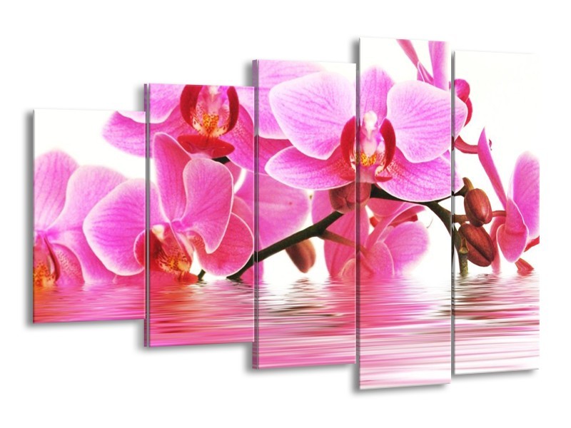 Canvas schilderij Orchidee | Roze, Wit | 150x100cm 5Luik