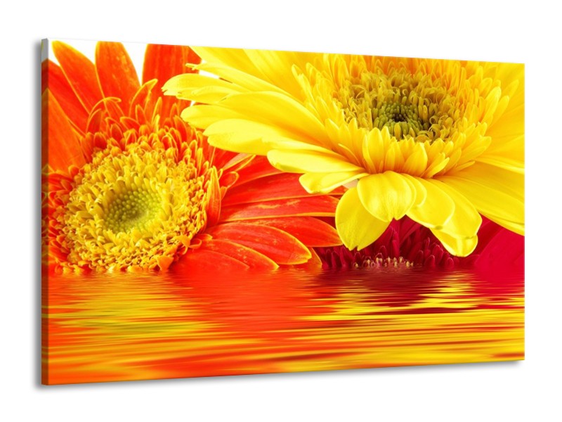Canvas schilderij Gerbera | Geel, Oranje | 140x90cm 1Luik