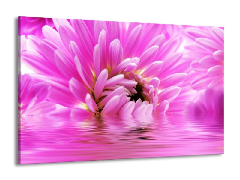 Canvas schilderij Bloem | Roze, Wit | 140x90cm 1Luik