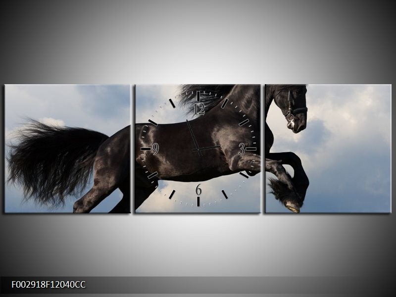 Klok schilderij Paard | Zwart, Blauw, Wit | 120x40cm 3Luik