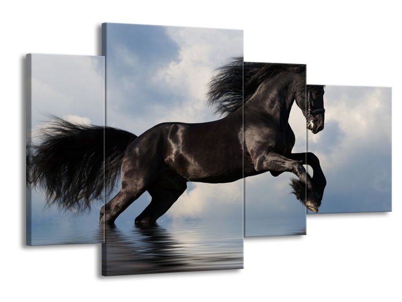 Canvas schilderij Paard | Zwart, Blauw, Wit | 120x75cm 4Luik
