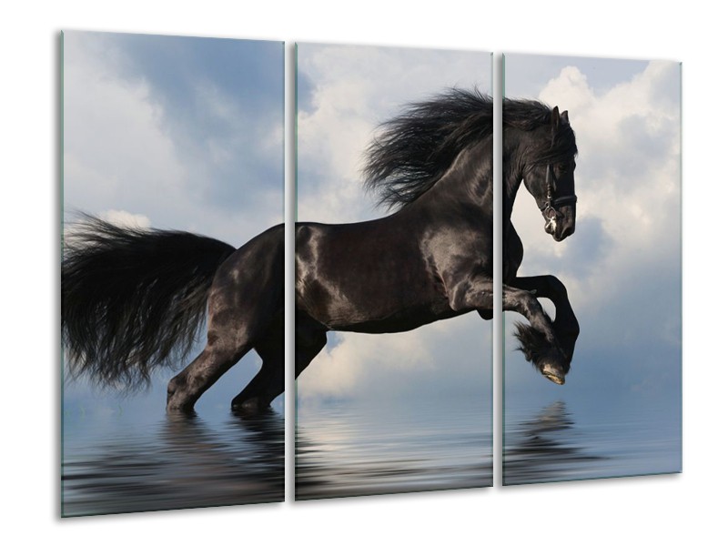 Canvas schilderij Paard | Zwart, Blauw, Wit | 120x80cm 3Luik