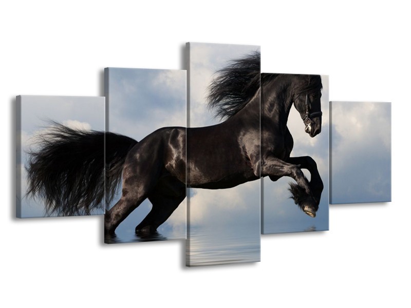 Glas schilderij Paard | Zwart, Blauw, Wit | 150x80cm 5Luik