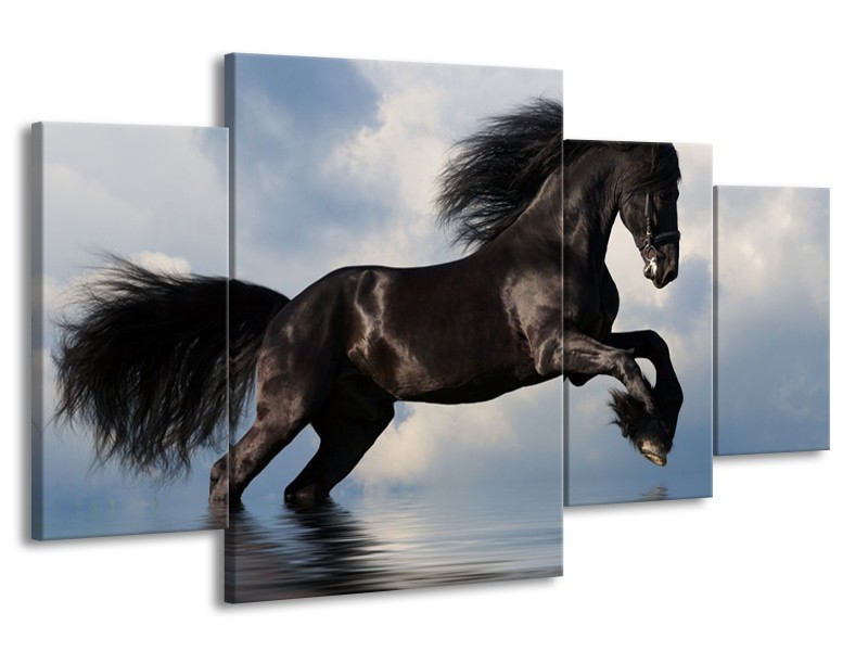 Glas schilderij Paard | Zwart, Blauw, Wit | 160x90cm 4Luik