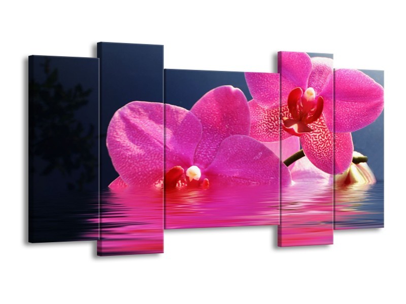 Canvas schilderij Orchidee | Paars, Wit, Blauw | 120x65 5Luik