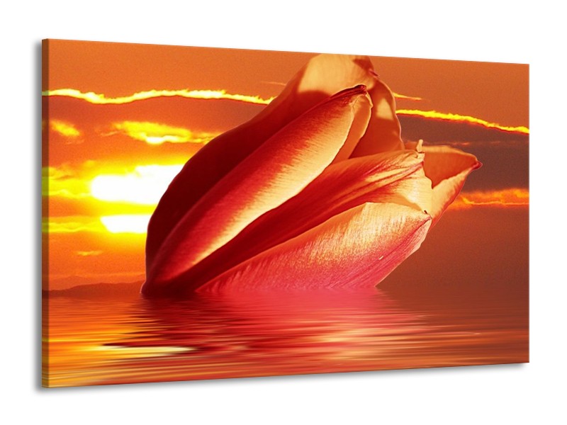 Canvas schilderij Tulpen | Rood, Oranje, Geel | 140x90cm 1Luik