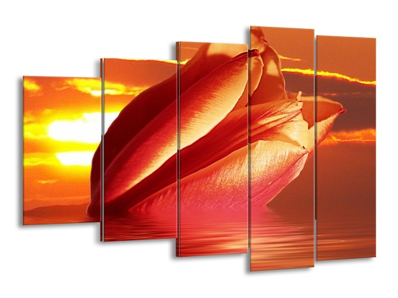 Canvas schilderij Tulpen | Rood, Oranje, Geel | 150x100cm 5Luik